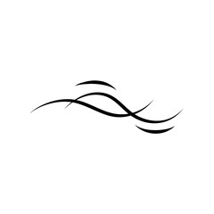 Calligraphy wavy lines. Decorative sea swashes for text.