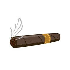 Smoking cigar color, A tattered cigar with smoke. A sign of authority in the casino. vector flat illustration