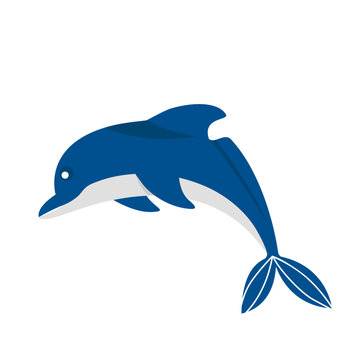 Cute dolphin jumping vector illustration. Bottle nose dolphin.