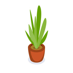 Decorative green houseplants in pots and planters, natural home decor and urban jungle, vector illustrations.