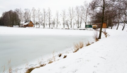 Winter at the pond. Moravia. Czech Republic. 