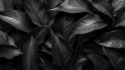 Fototapeta premium Textures of abstract black leaves for tropical leaf background. Flat lay, dark nature concept, tropical leaf,generative ai