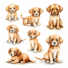 Labrador Retriever puppies set. Hand drawn watercolor illustration