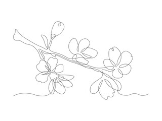 Fototapeta na wymiar Abstract cherry blossom tree branch ,continuous single line art hand drawing sketch