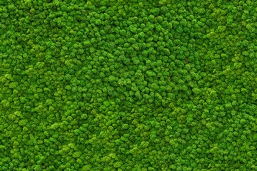 Seamless moss texture for wall decoration, wall mural, green for interior architecture, ambient wall material 1