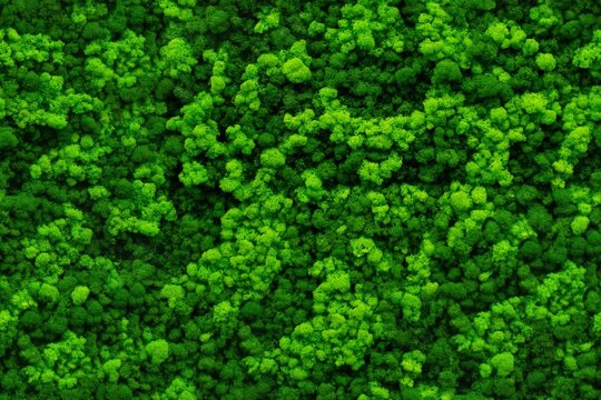 Seamless moss texture for wall decoration, wall mural, green for interior architecture, ambient wall material 2