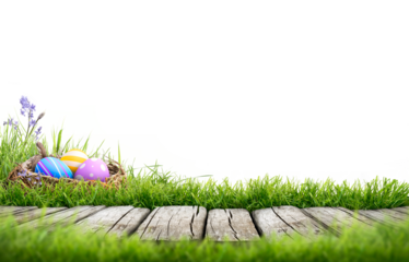 A template with three painted easter eggs in a birds nest celebrating a Happy Easter with a wooden bench to place products on with green grass and transparent background