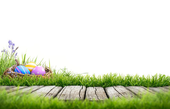 A template with three painted easter eggs in a birds nest celebrating a Happy Easter with a wooden bench to place products on with green grass and transparent background