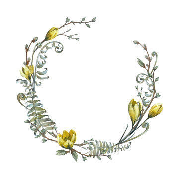 Floral spring wreath with fern leaves and buds, crocus branches and flowers isolated on white background. Hand painted with watercolors. 