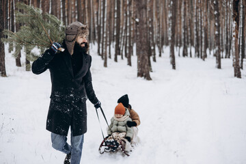 a happy father is sledding his children in the middle of a pine forest with a Christmas tree that they chose together and cut down for Christmas © Ananass