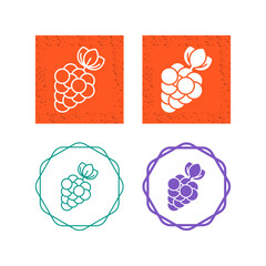 Berries Vector Icon