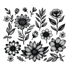 set of floral hand drawn style. flower rose, peony, leaves for decoration. black and white vector flowers  illustration