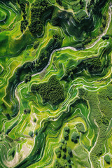 Obraz premium Aerial views of landscapes transformed into abstract patterns.