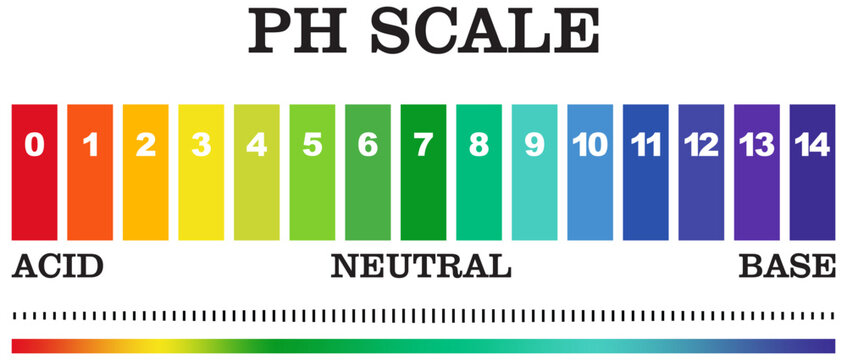 PH value scale chart for acid-alkaline solution. Acid-base balance infographic  isolated on white background. Indicator for concentration of hydrogen ion in solution. Vector illustration