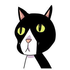 Black cat green eyes avatar