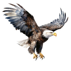 Fototapeta premium Bald eagle on transparent background, watercolor bald eagle collection, children's book illustration, children's clipart, printable animal stickers，american eagle isolated on white