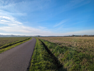 Fototapeta na wymiar Caminho pavimentado serpenteando por entre campos agrícolas sob o brilho radiante de um dia ensolarado