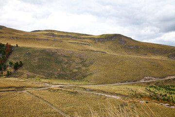 Obraz premium Reise durch Südamerika. Riobamba in Ecuador. Tour unterhalb des Chimborazo.