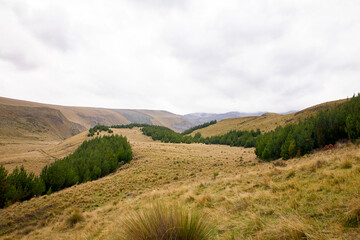 Reise durch Südamerika. Riobamba in Ecuador. Tour unterhalb des Chimborazo.