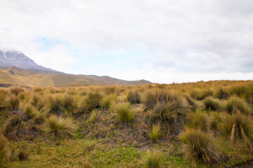 Reise durch S&uuml;damerika. Riobamba in Ecuador. Tour unterhalb des Chimborazo.