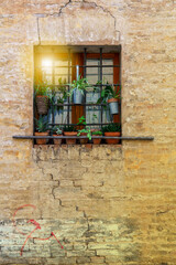 Fototapeta na wymiar old urban brick building window with planters