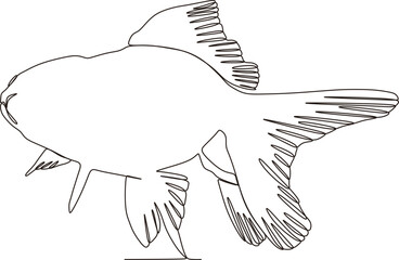 continuous line of ornamental fish animals