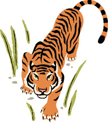 Vector illustration of a tiger that hunts, sneaks for prey in the grass isolated on white background