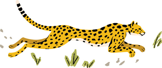 Vector illustration of a leopard running through a field with grass isolated on a white background