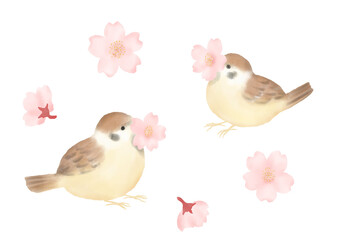 Obraz na płótnie Canvas 桜の花の蜜を吸うスズメのイラスト