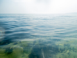Fototapeta premium Sea surface with waves and algaes underwater