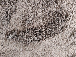 Smooth abstract carpet fur texture background