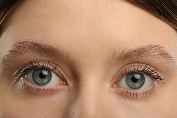 Fototapeta premium Woman with long eyelashes after mascara applying, closeup