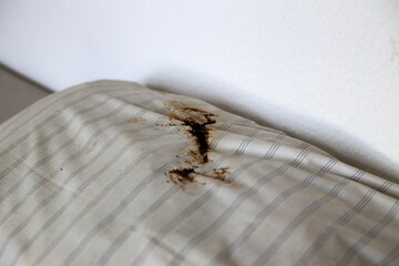 Poo on a dirty pillow at the wall - 712234734