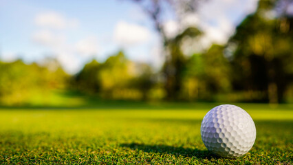 Golf ball on green grass in the evening golf course with sunshine background.