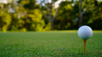golf ball on tee in beautiful golf course with sunset. Golf ball close up in golf coures.