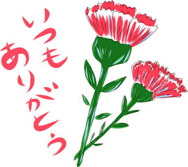 母の日 ありがとう カーネーション