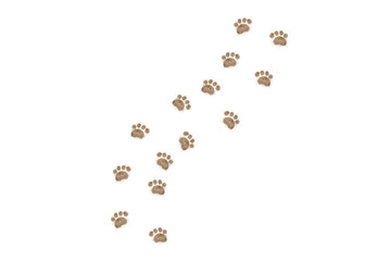 little dog footprints walking  isolated transparency background.