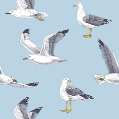 Hand drawn seagulls seamless pattern