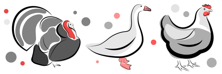 Turkey, goose and chicken on white background. Doodle - obrazy, fototapety, plakaty