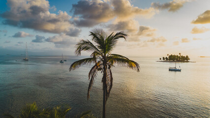 Palm Tree Aerial view, San Blas Islands
