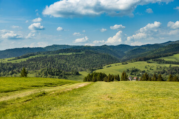 Obraz premium Beautiful panorama of the Pieniny Mountains.