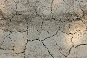 Dry land during a drought.