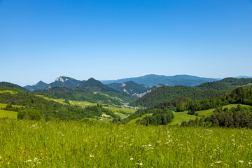 Beautiful panorama of the Pass over Tokarnia. Slovakia. View of the Pieniny Mountains.
