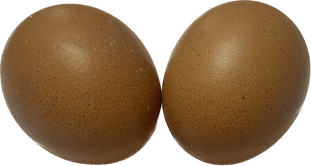 egg isolated on white, 2 fresh chicken eggs together, eggs isolated image