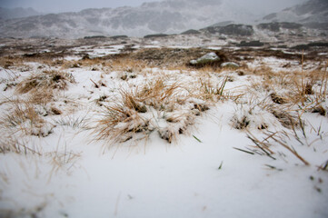 Pierwszy śnieg w górskich dolinach. - obrazy, fototapety, plakaty