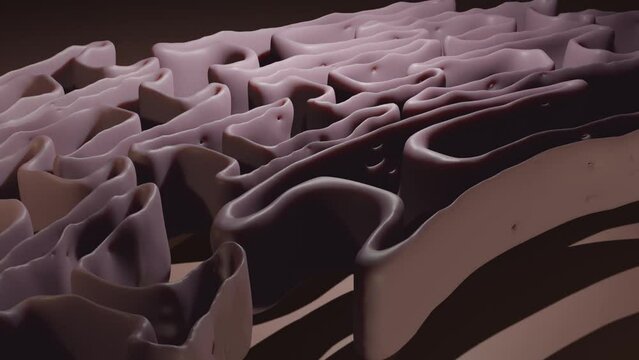 Endoplasmic Reticulum 3d animation. Isolated cell organelle. Biology and science. HD