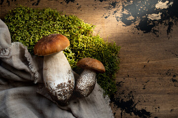 Wild edible mushrooms - boletus, porcini, ceps with moss on a wooden background. Autumn still life with wild mushrooms. - obrazy, fototapety, plakaty