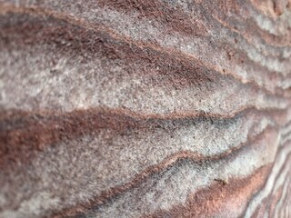 beauty of sand stone pattern of stones in Petra valley in one of many temples,Jordan,abstract...