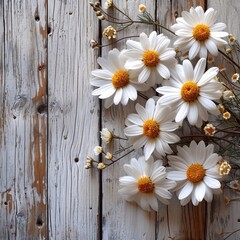 separated and isoleted chamomile flowers arranged on the side. on the white wooden floor