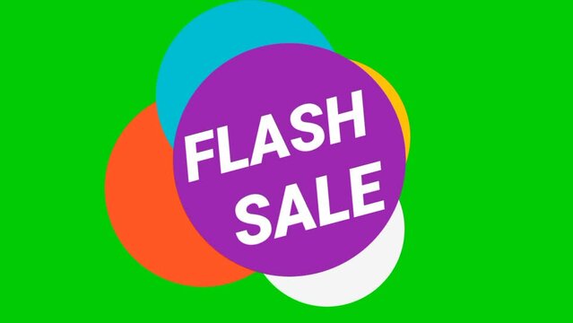 Animation of flash sale text over moving colorful round shapes. Concept of social media, promotion, advertising and digital interface of promotional and marketing tools